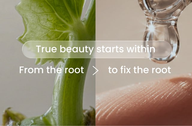 feature banner